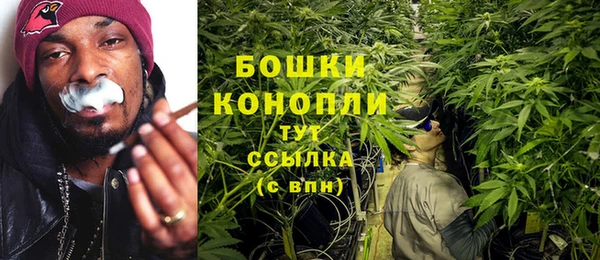 крисы Аркадак