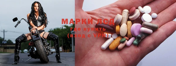 сатива Арсеньев