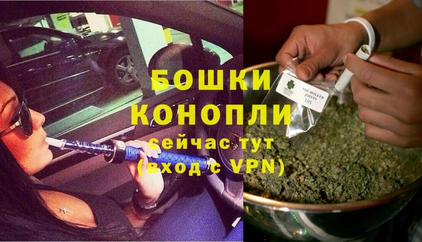 крисы Аркадак