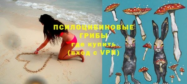 ECSTASY Гусев