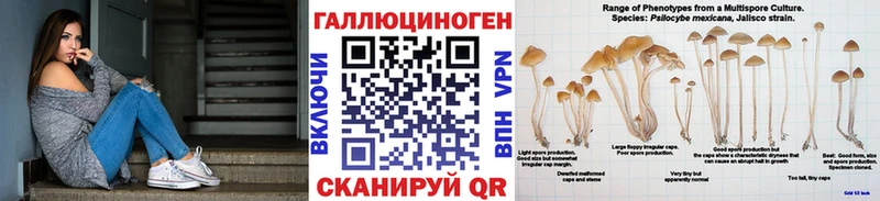 Галлюциногенные грибы мицелий Похвистнево