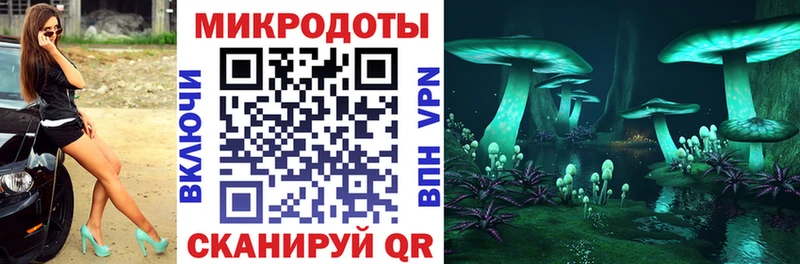 Галлюциногенные грибы мицелий Похвистнево